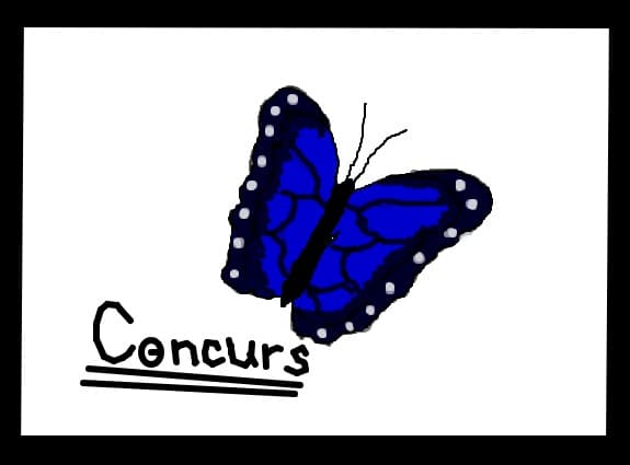 Concurs