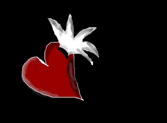 heart