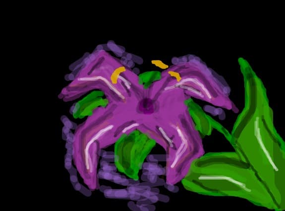 Violeta!...