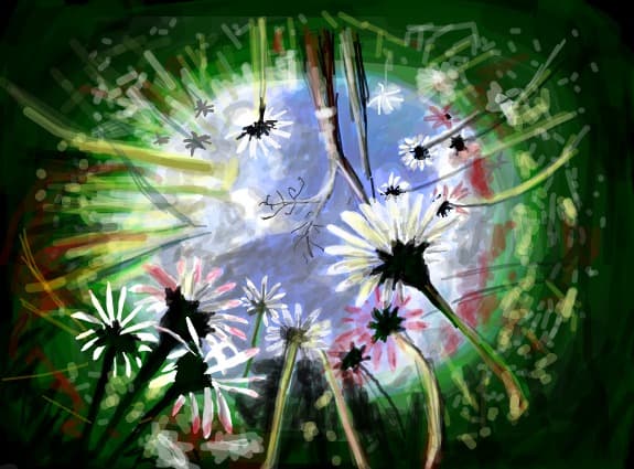 luminis