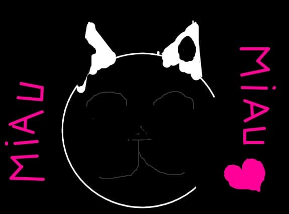 miau miau