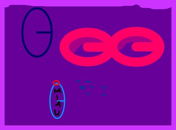 rossi