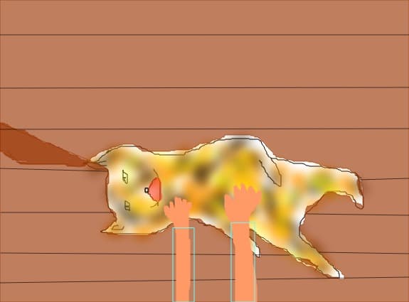 pt concursul lu pussy cat