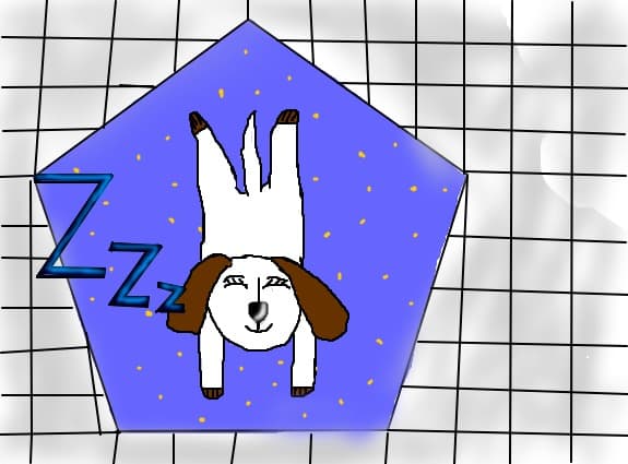 Sleeping..on the carpet...