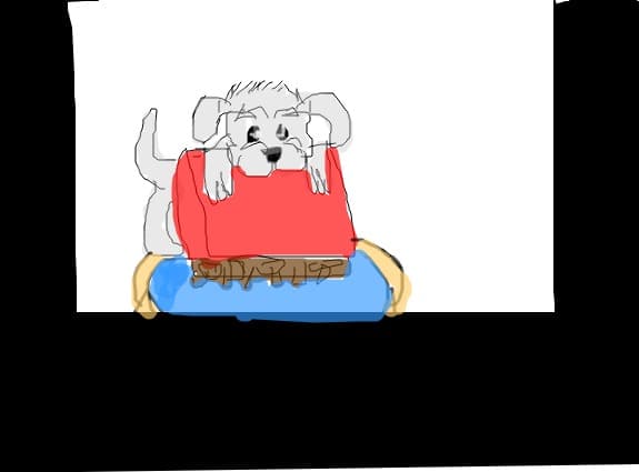 a dog