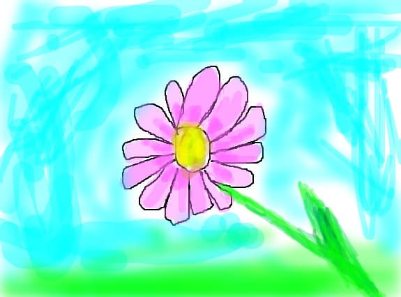 o floare