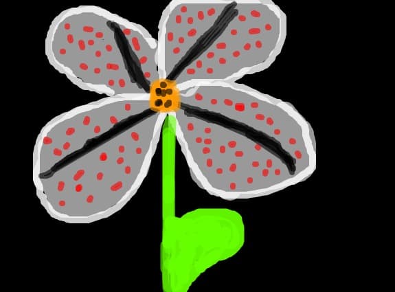 o floare