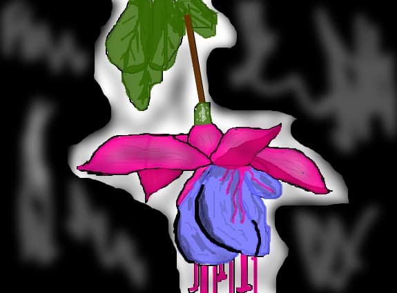 floare