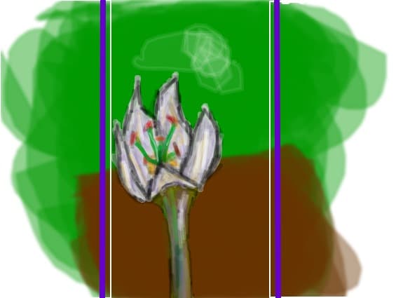 floare