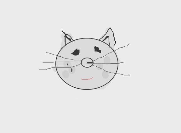 Andra_PussyCat, concurs