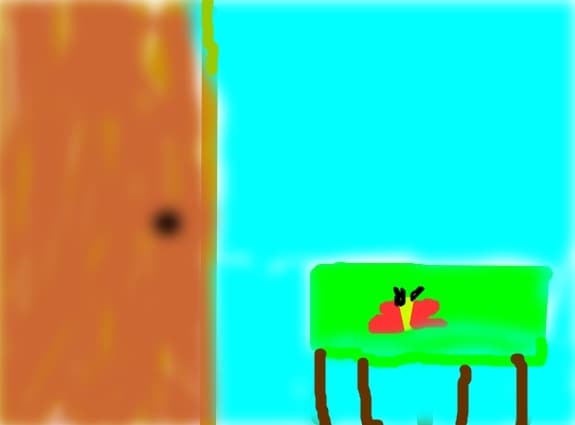 camera