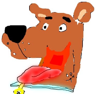 SCOOBY DOO