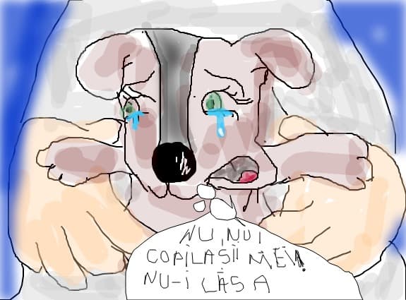 povestea unui caine rau