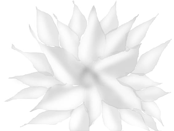 O floare dedicata voua