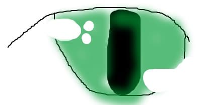 ochiul