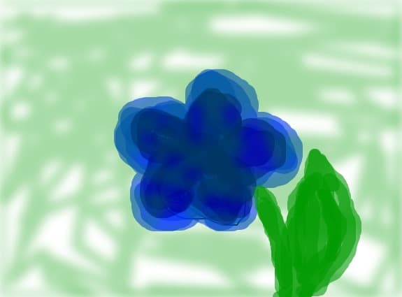 stars&amp;flower