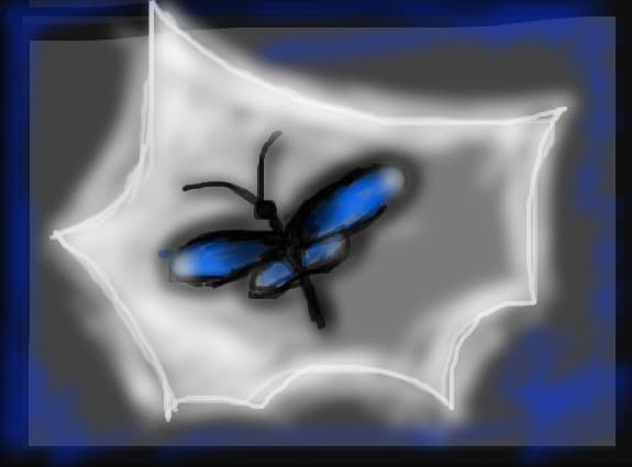 fluturele albastru