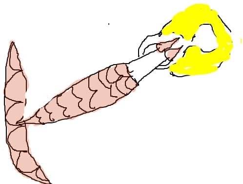 Riki