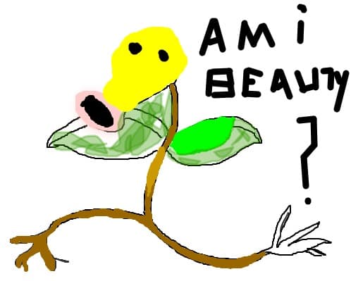 Am i beauty ?