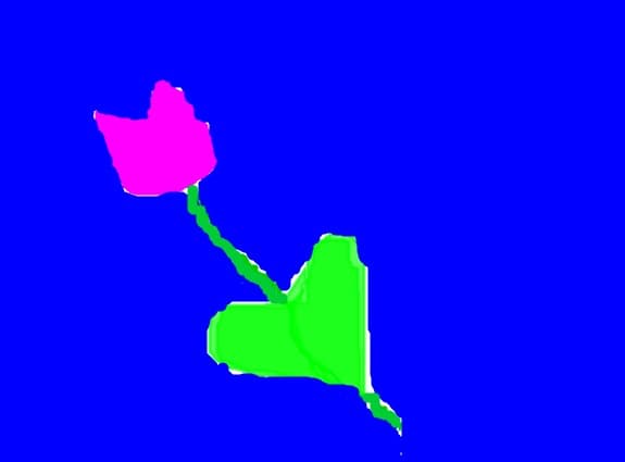 trandafir
