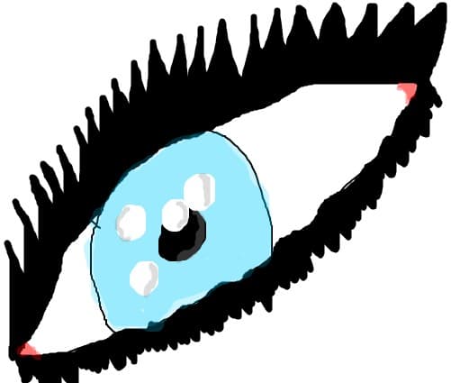 ochi