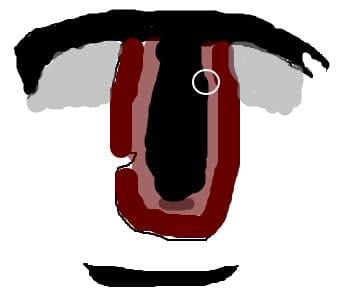 ochi