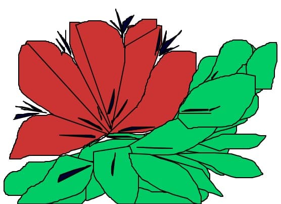 flower