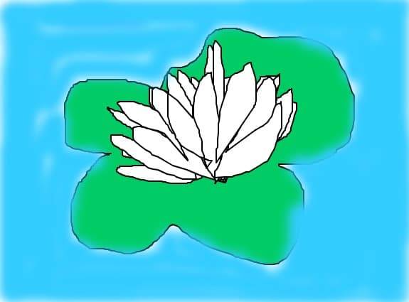 nufar