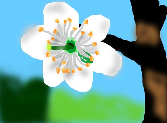 natura