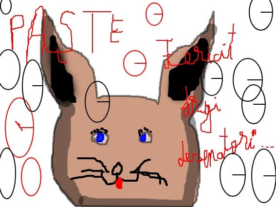 paste fericit