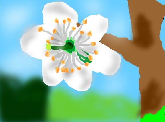 natura