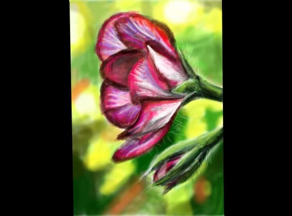 floricele mititele :)
