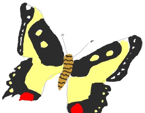 fluturas