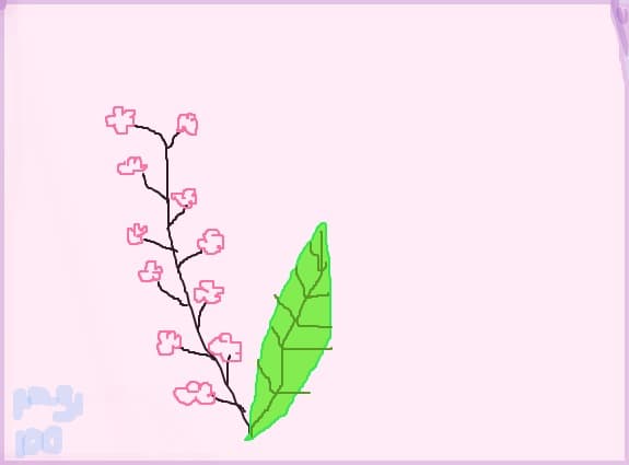 zambila