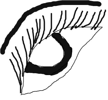ochi