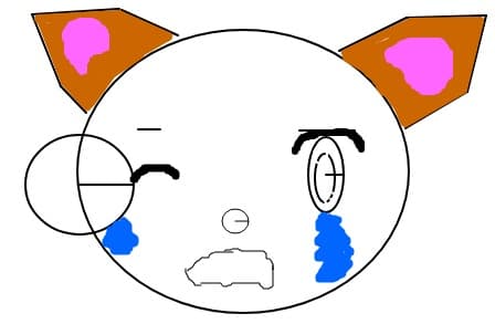 pisie