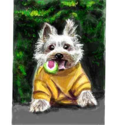 un puppy cu chef de joaca:)