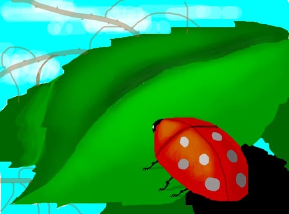 Buburuza