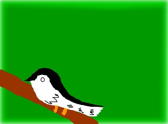 pasarica