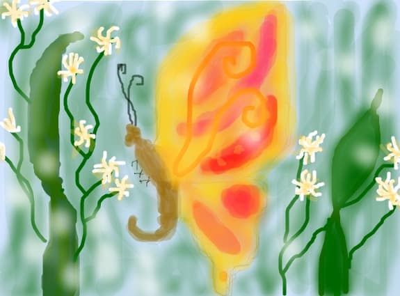 fluture