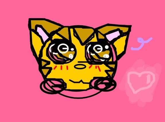 Kitty