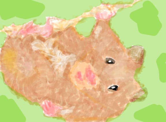 my mouse....