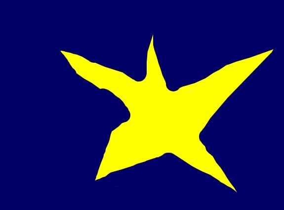 steaua luminoasa\'light star
