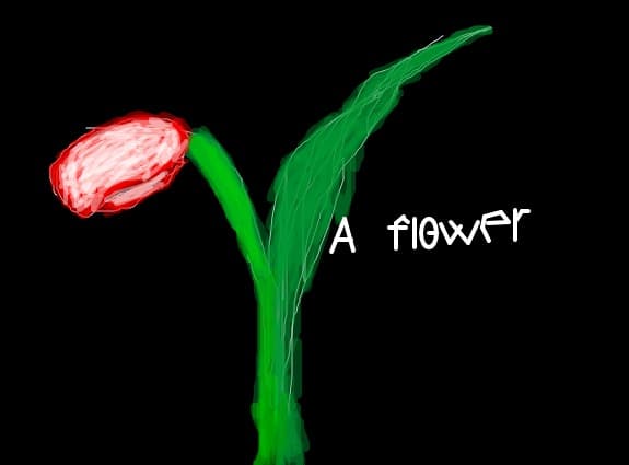 A flower