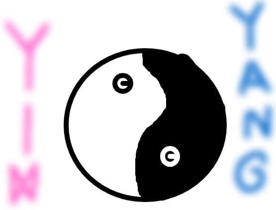 yin yang