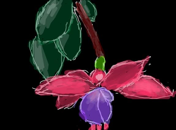 o floare...