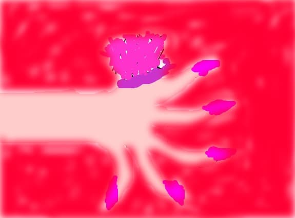 Fluturash