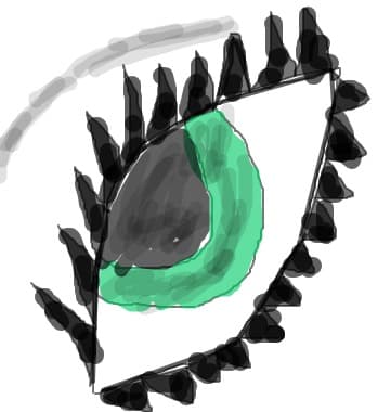 ochi