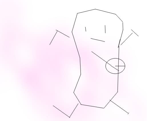 paleta
