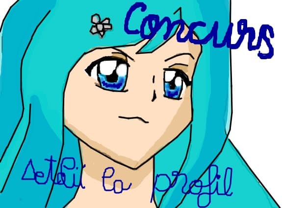CONCURS:DETALII LA PROFIL